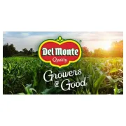 Del Monte Foods, Inc logo